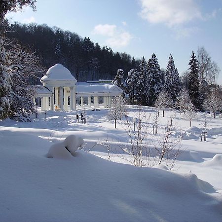 Villa Sonnenstrahl Марианске-Лазне Экстерьер фото