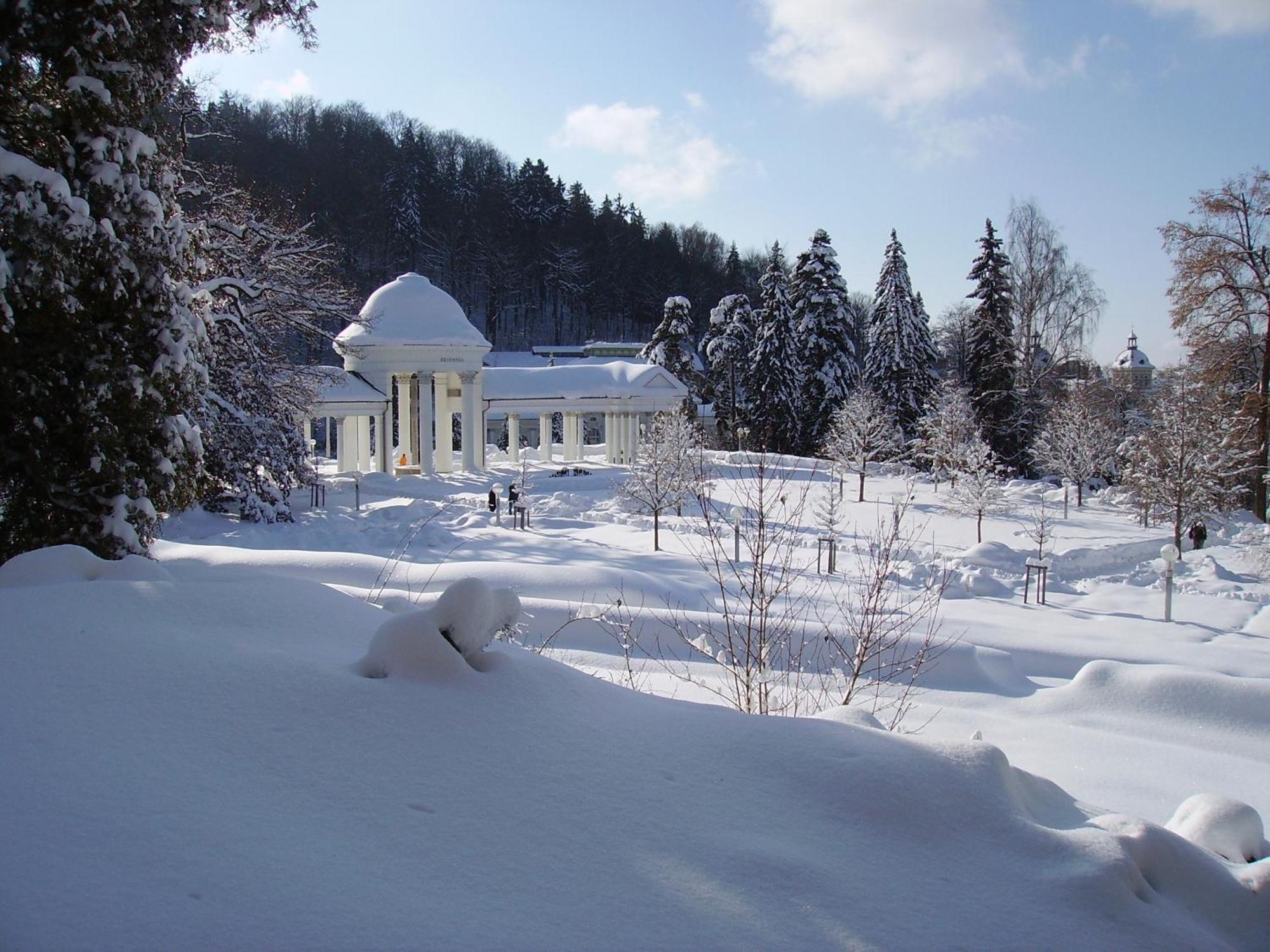 Villa Sonnenstrahl Марианске-Лазне Экстерьер фото